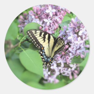 Stickers - ET Swallowtail sur Lilac
