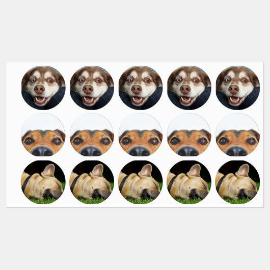 Stickers/etiquetas con imagenes de perritos labels (Vel)