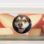Stickers/etiquetas con imagenes de perritos labels (Aangebracht)