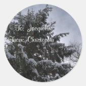 Stickers étiquette cadeau de l'épinette couverte d (Devant)