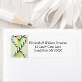 Stickers Étiquette de adresse de la carte de Noël (En situation)