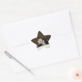 stickers étoile Hi kitten (Enveloppe)