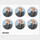 Stickers EXO Sehun (Feuille)
