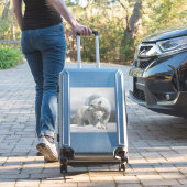 Stickers famille Ours Polaire (Valise Insitu)
