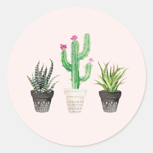 Stickers Favoriser les cactus Succulents du désert (Devant)
