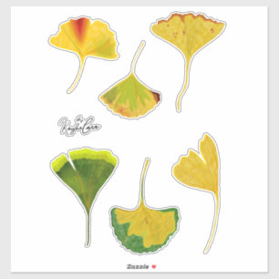 Stickers Feuille Gingko
