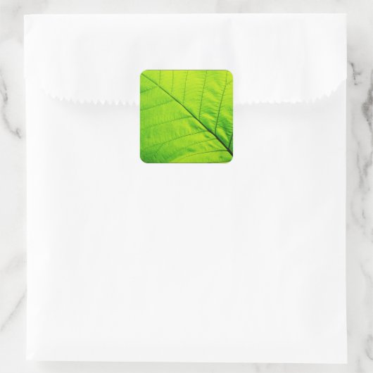 Stickers Feuille verte (Sac)