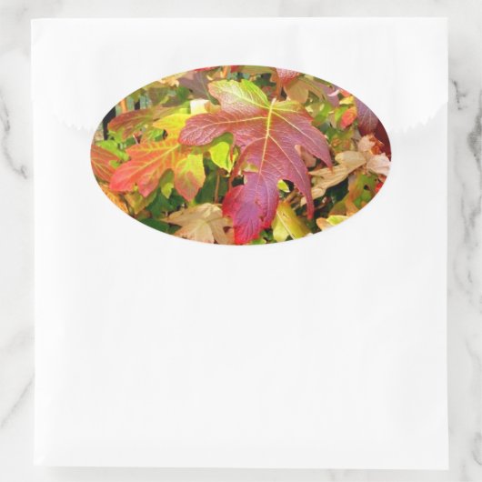Stickers 'Feuilles d'automne' (Sac)