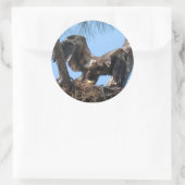 Stickers Fierce Young Eagle (Sac)