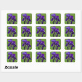 Stickers Fleur Iris Violet (Feuille)