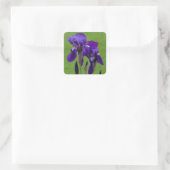 Stickers Fleur Iris Violet (Sac)