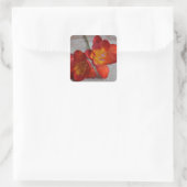 Stickers Fleur Orange Rustique Freesia (Sac)