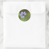 Stickers Fleur sauvage Floral Arrondi en Herbe Ble (Sac)