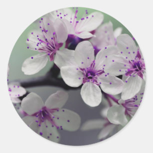 stickers fleurs