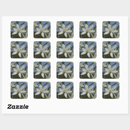 Stickers Fleurs Blanches (Feuille)