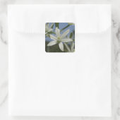 Stickers Fleurs Blanches (Sac)