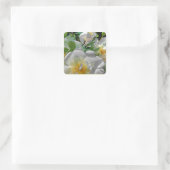 Stickers Fleurs Blanches (Sac)