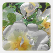 Stickers Fleurs Blanches (Devant)