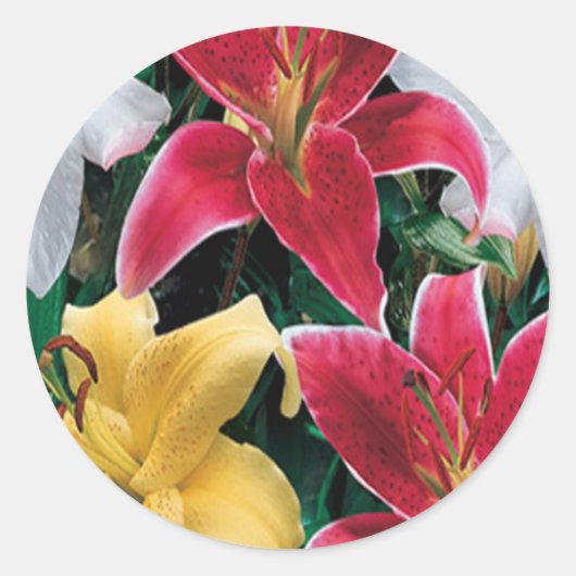 Stickers Fleurs colorées (Devant)
