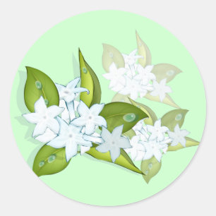 stickers fleurs de jasmin