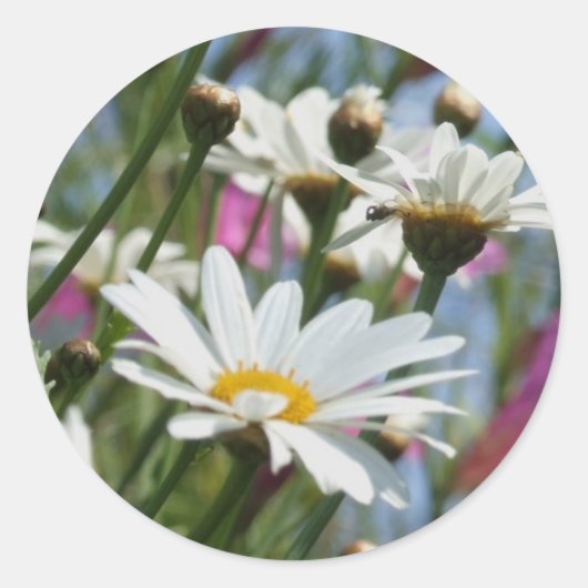 Stickers Fleurs de ressort (Devant)