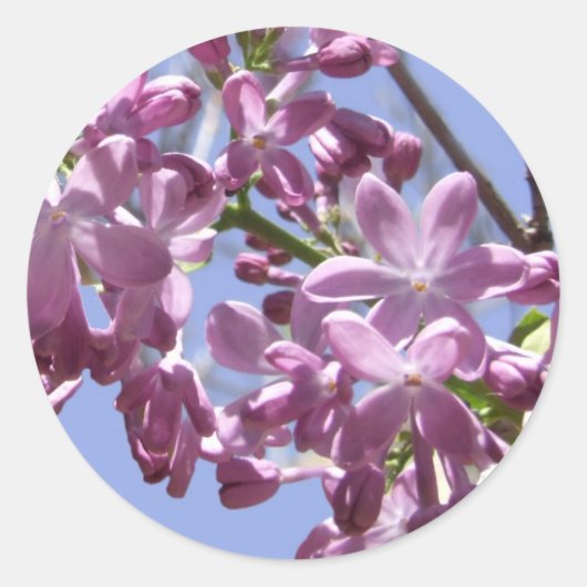 Stickers Fleurs de ressort (Devant)