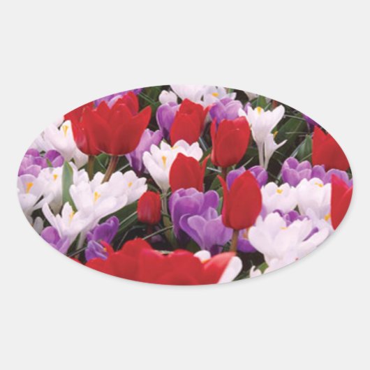 Stickers Fleurs de Tulipes colorées (Devant)