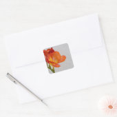 Stickers Fleurs Freesia avec Copyspace (Enveloppe)