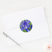 Stickers Fleurs Iris Bleus (Enveloppe)