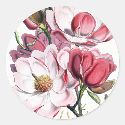 Stickers Fleurs Magnolia (Devant)
