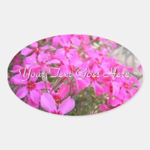 Stickers Fleurs Pink Phlox