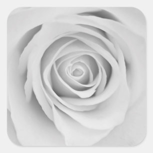 Stickers fleurs rose noire et blanche