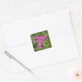 Stickers Fleurs Roses (Enveloppe)