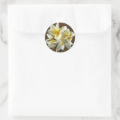 Stickers Floral Plumeria Hawaii Blanc (Sac)