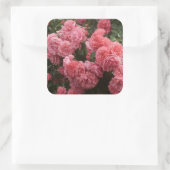 Stickers Floral Rose (Sac)