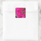Stickers floraux Bougainvilliers (Sac)