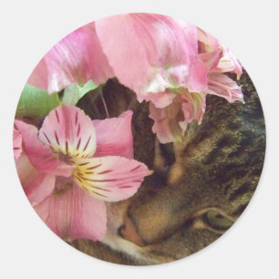 stickers Flower sentant kitty