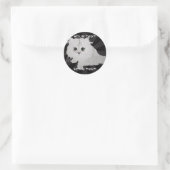 Stickers Fluffy Kitten (Sac)