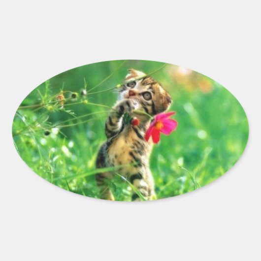 Stickers forme ovale Kitten (Devant)