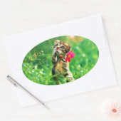 Stickers forme ovale Kitten (Enveloppe)