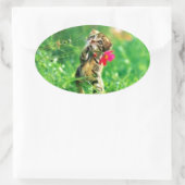 Stickers forme ovale Kitten (Sac)