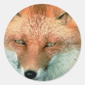Stickers Fox stylisés (Devant)