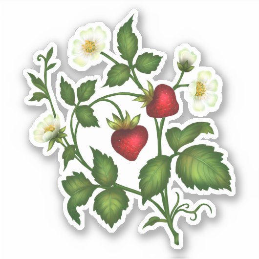 Stickers fraises (Devant)