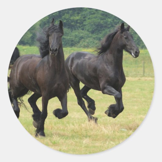 Stickers Friesian Horses Galloping (Devant)