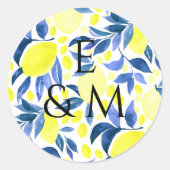 Stickers Fruit (Devant)