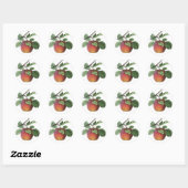 Stickers Fruit vintages (Feuille)
