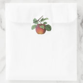 Stickers Fruit vintages (Sac)