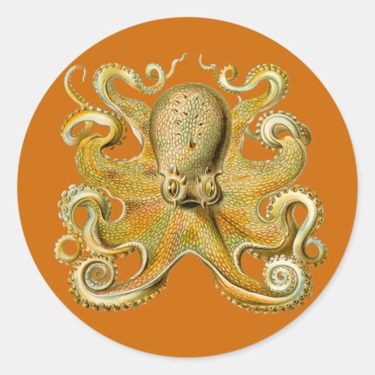 Stickers Gamochonia (Devant)