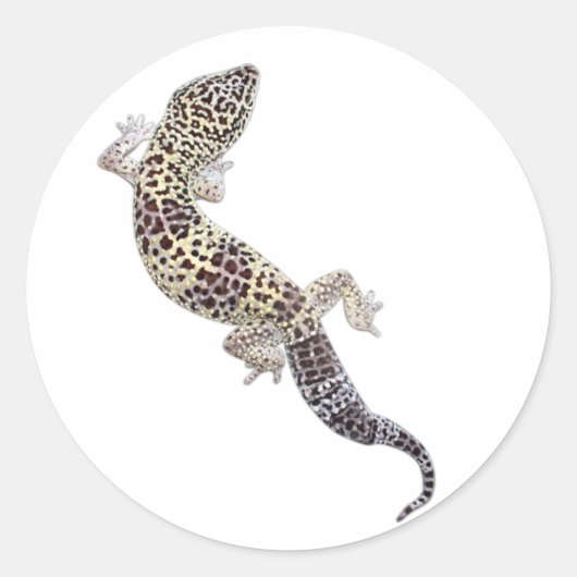 Stickers Gecko 01 (Devant)