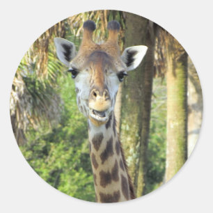 Stickers gekke Giraffe